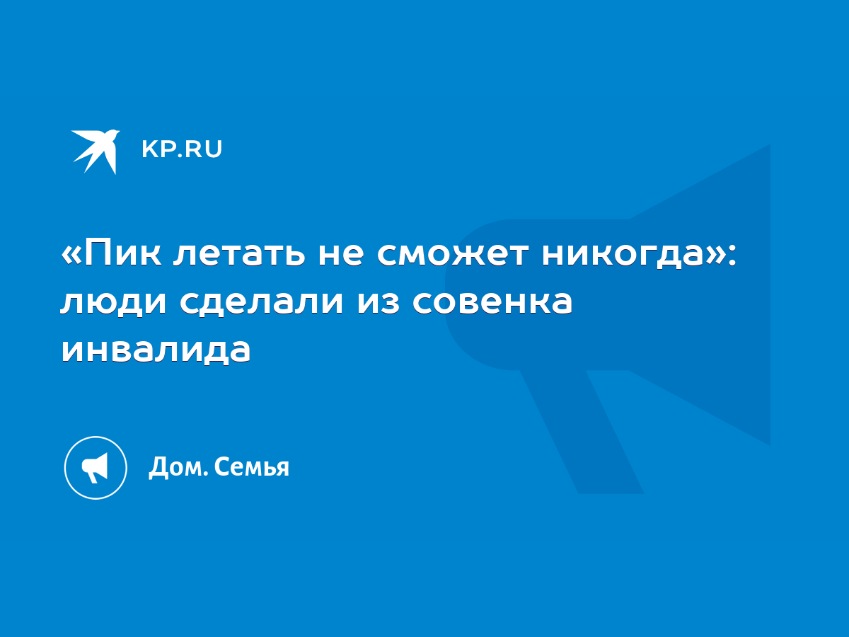 Пик летать не сможет никогда»: люди сделали из совенка инвалида - KP.RU