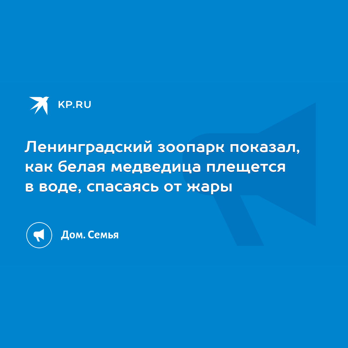 Ленинградский зоопарк показал, как белая медведица плещется в воде,  спасаясь от жары - KP.RU