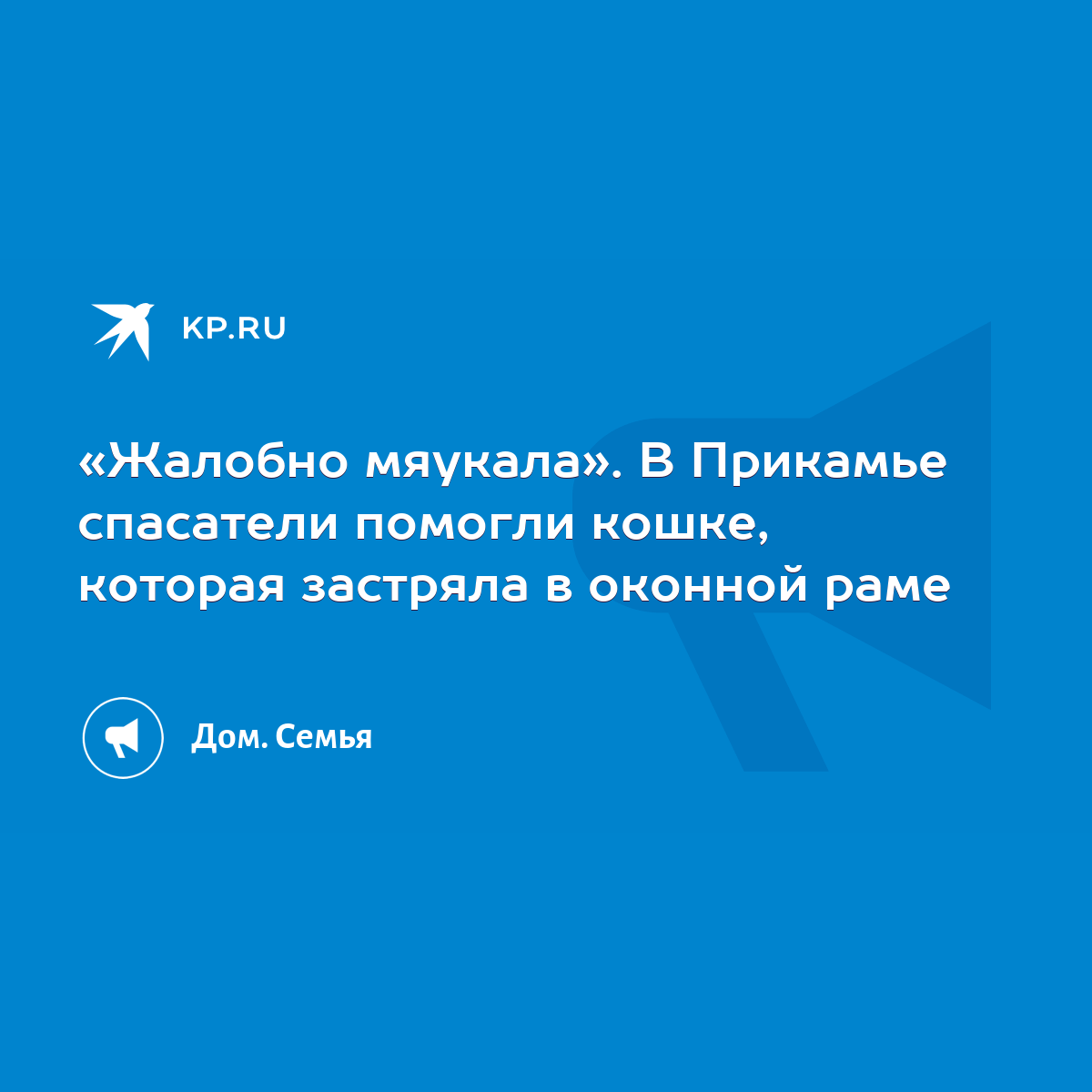 Жалобно мяукала». В Прикамье спасатели помогли кошке, которая застряла в  оконной раме - KP.RU