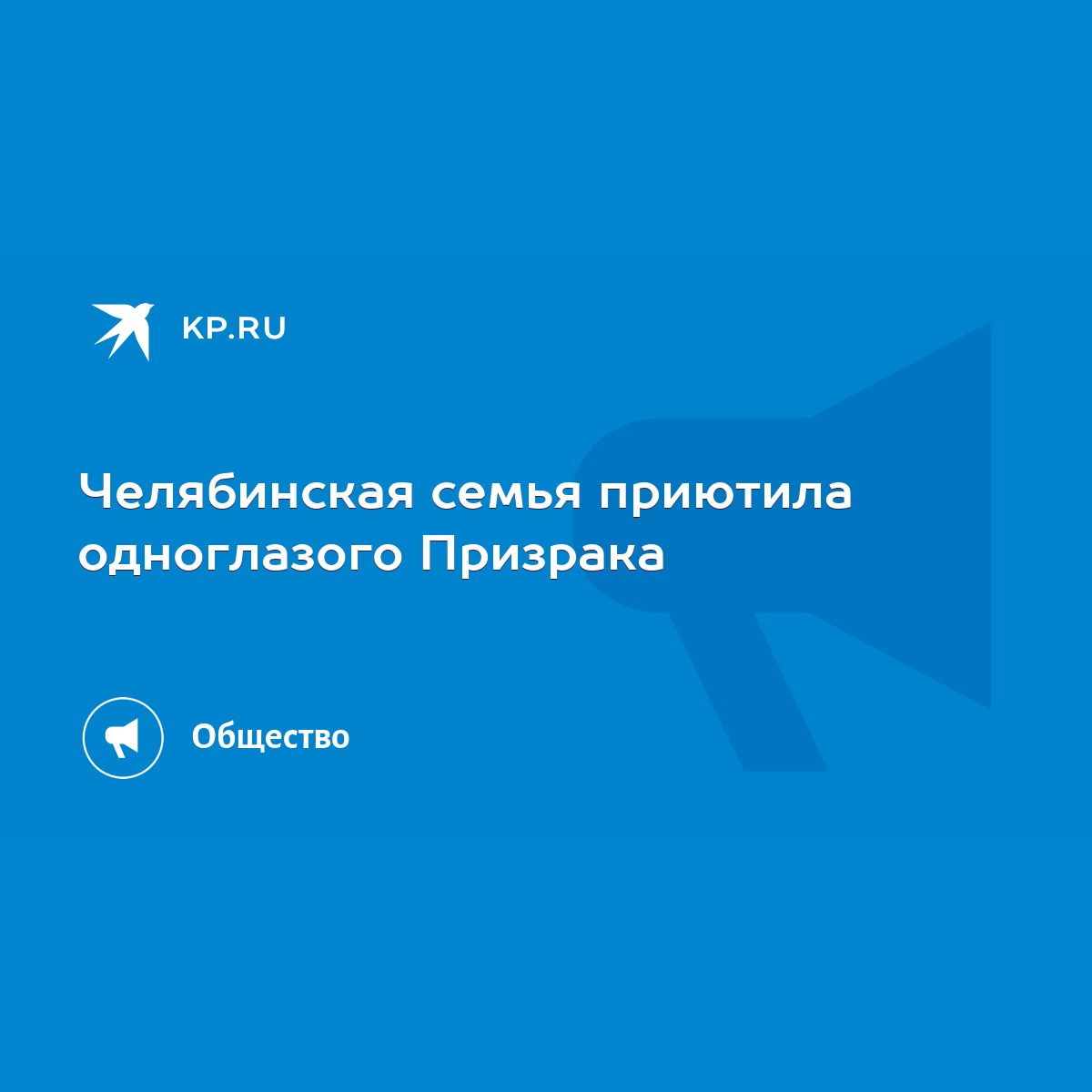 Челябинская семья приютила одноглазого Призрака - KP.RU