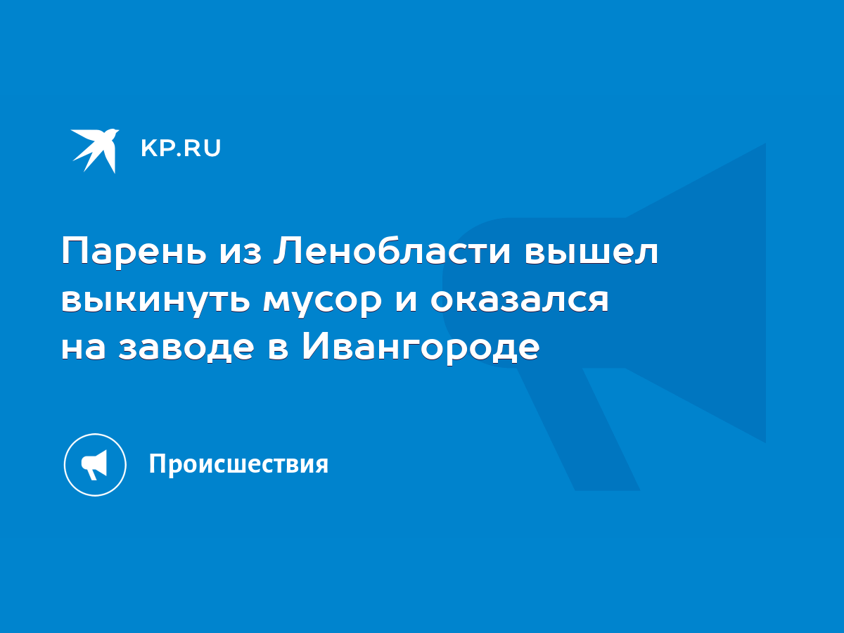 Парень из Ленобласти вышел выкинуть мусор и оказался на заводе в Ивангороде  - KP.RU