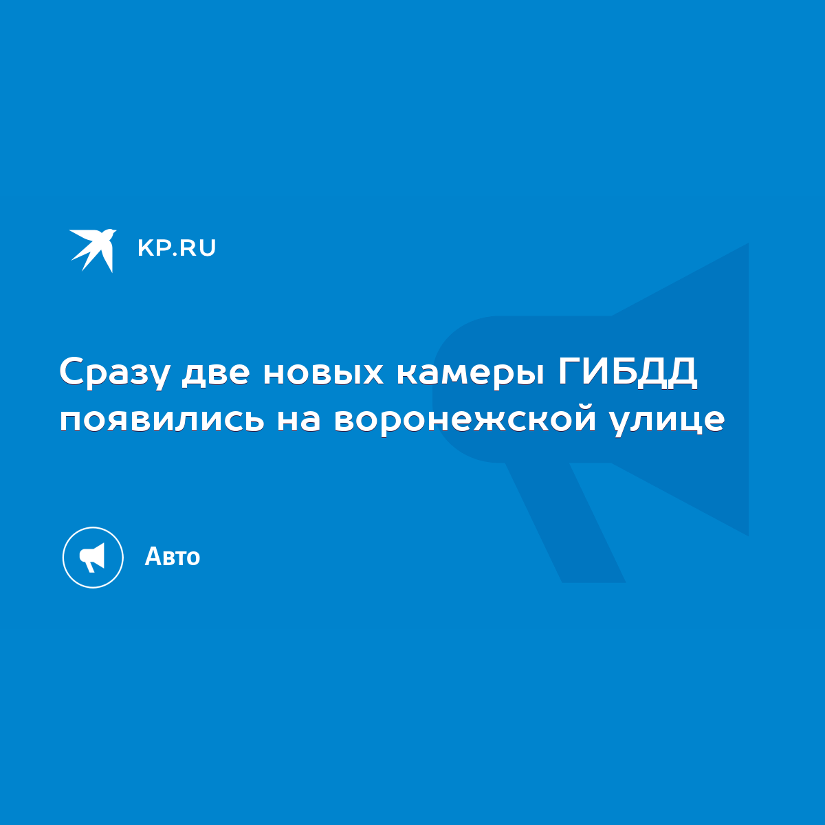 Сразу две новых камеры ГИБДД появились на воронежской улице - KP.RU