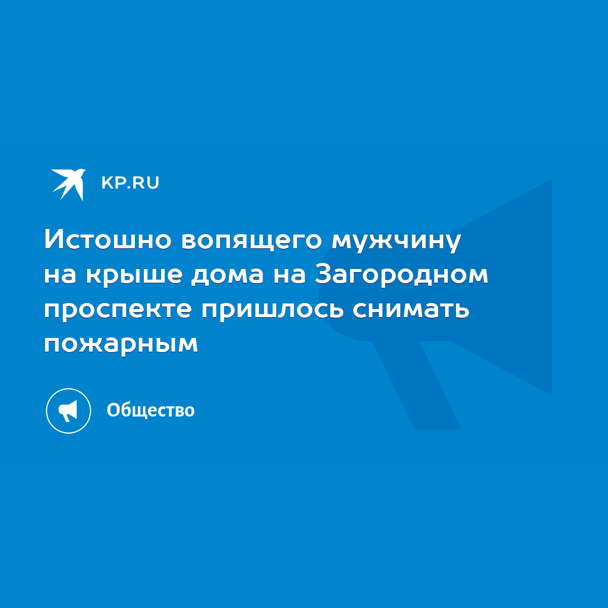 Истошно вопящего мужчину на крыше дома на Загородном проспекте пришлось  снимать пожарным - KP.RU