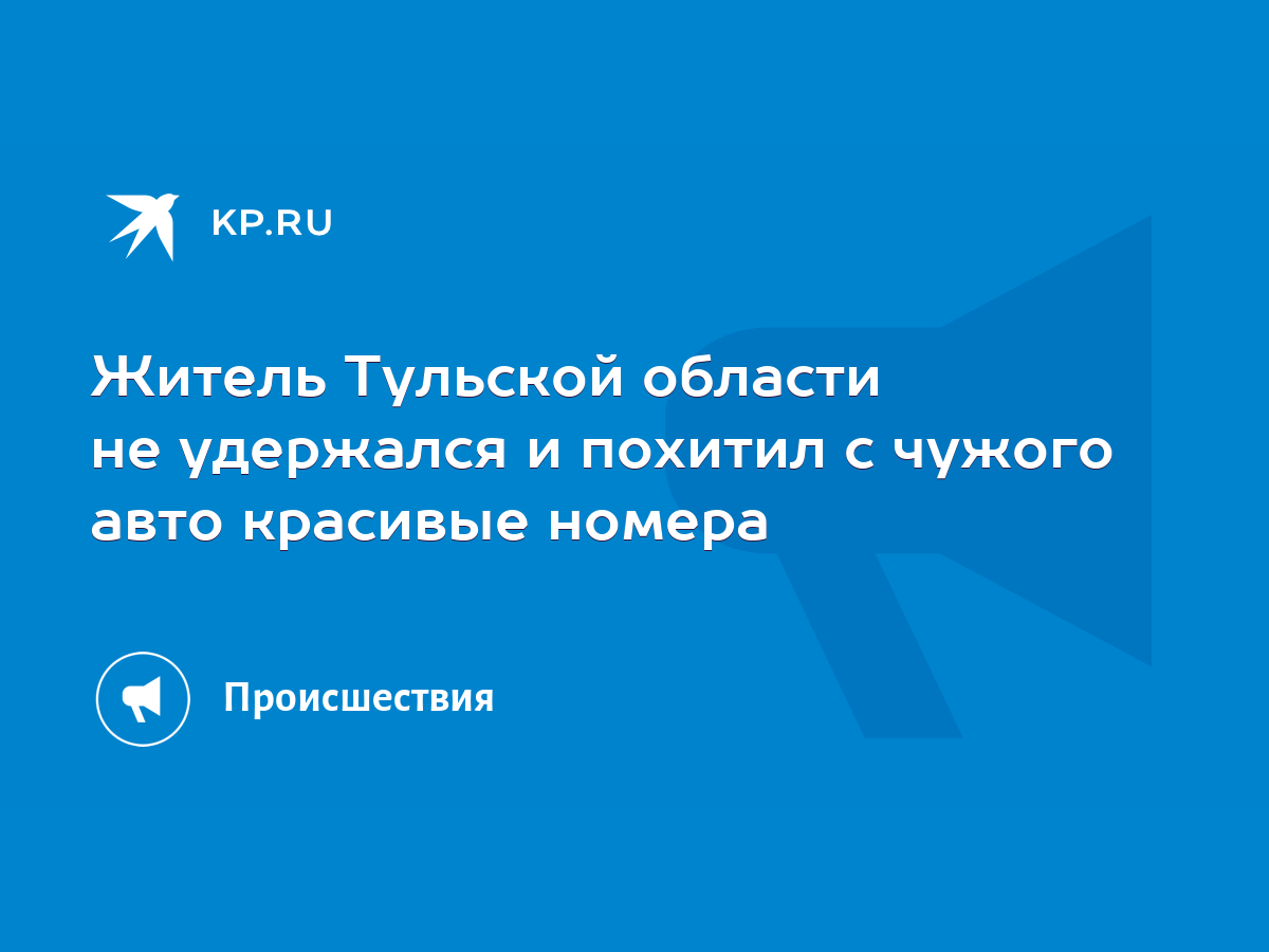 Житель Тульской области не удержался и похитил с чужого авто красивые  номера - KP.RU