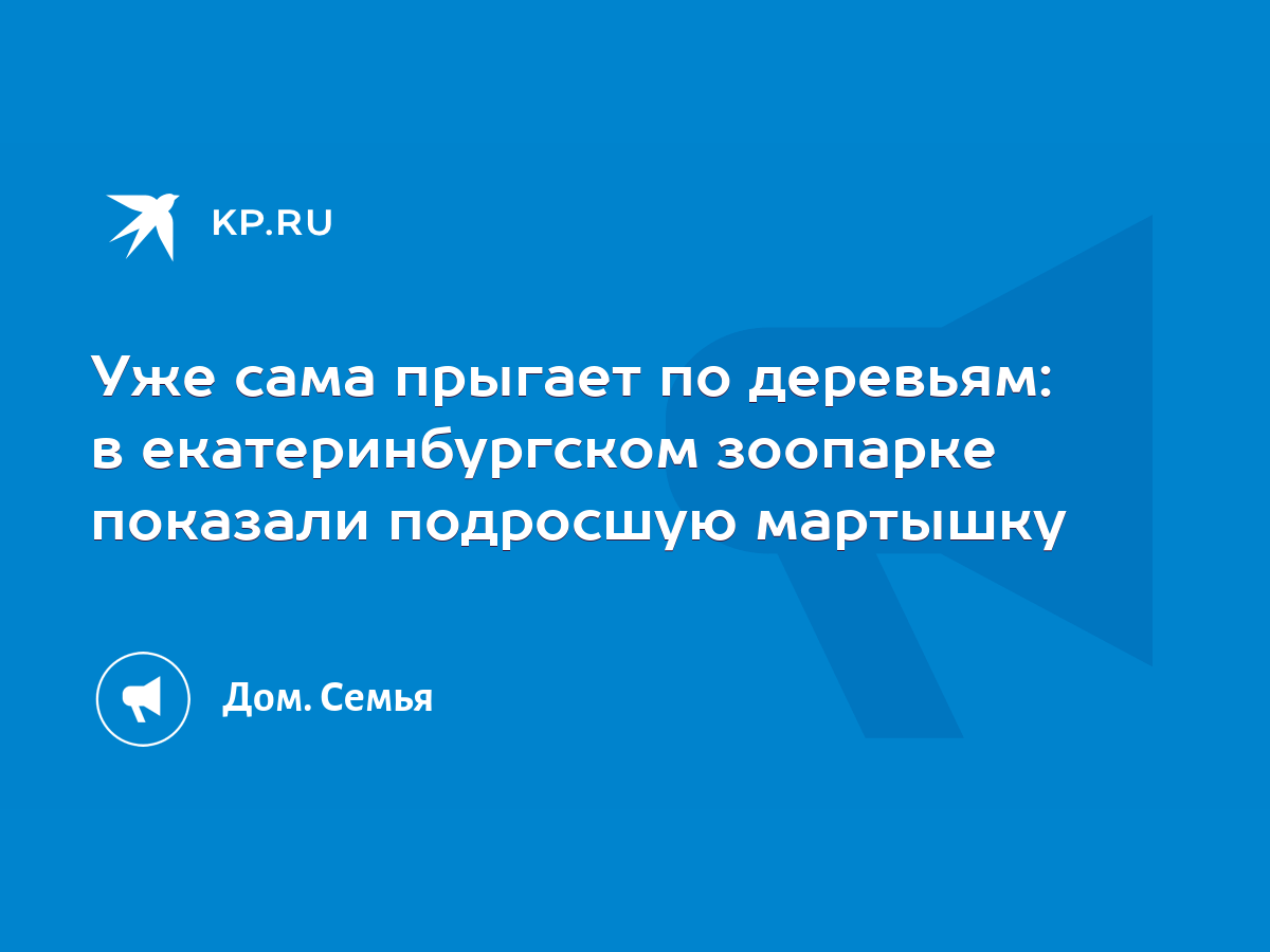 Уже сама прыгает по деревьям: в екатеринбургском зоопарке показали  подросшую мартышку - KP.RU