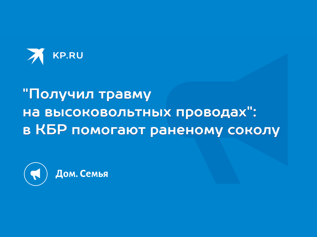 Получил травму на высоковольтных проводах