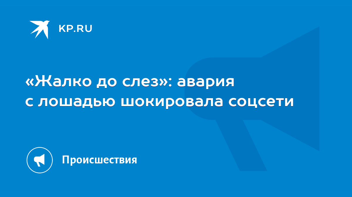 Жалко до слез»: авария с лошадью шокировала соцсети - KP.RU