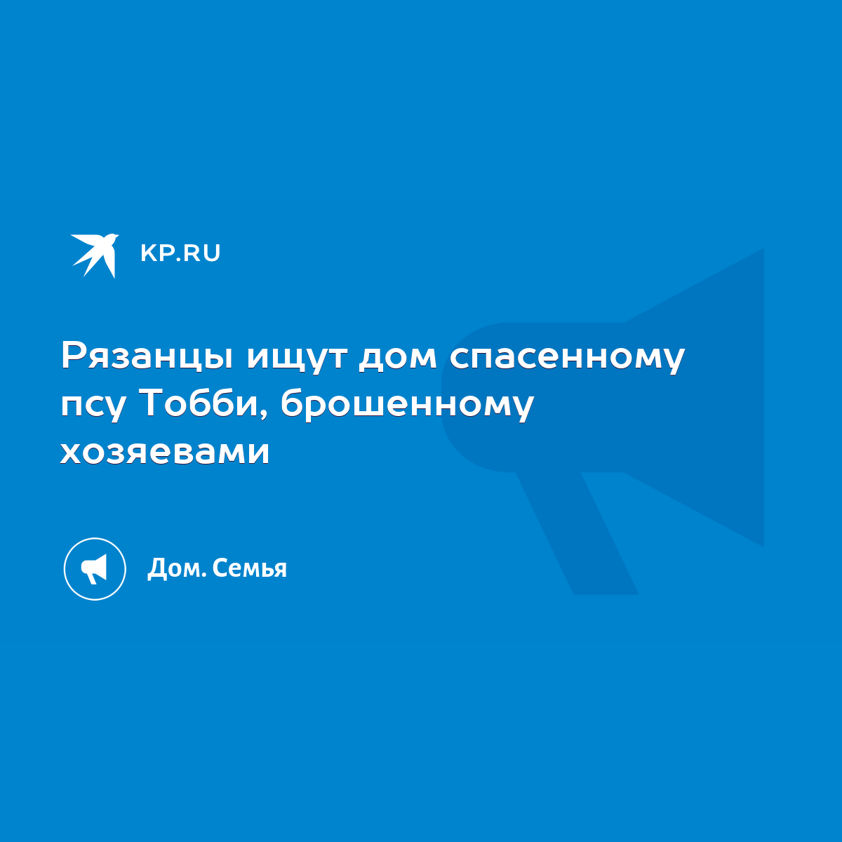 Рязанцы ищут дом спасенному псу Тобби, брошенному хозяевами - KP.RU