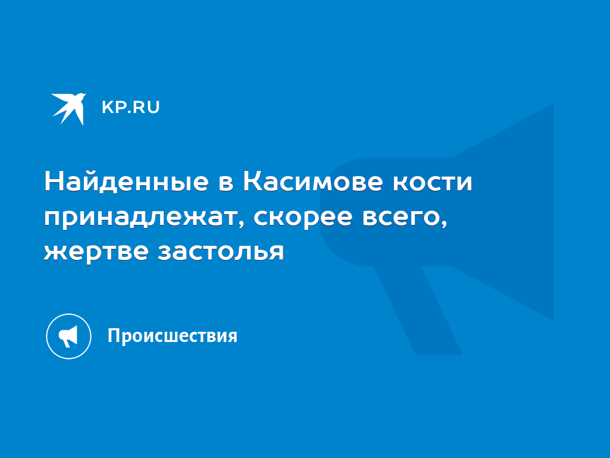 Найденные в Касимове кости принадлежат, скорее всего, жертве застолья -  KP.RU