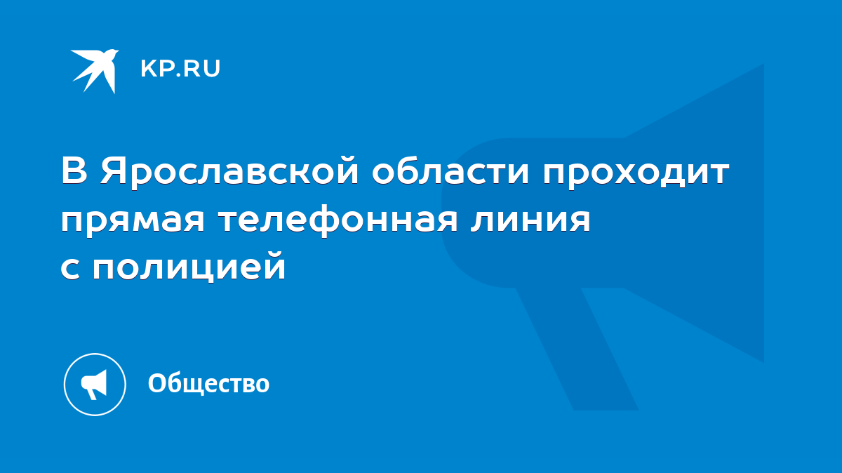 В Ярославской области проходит прямая телефонная линия с полицией - KP.RU