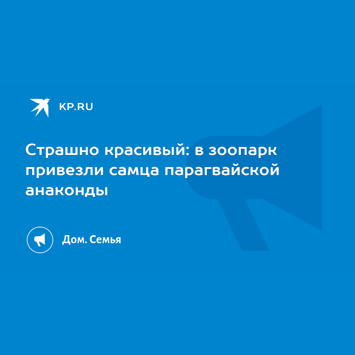 Страшно красивый: в зоопарк привезли самца парагвайской анаконды - KP.RU