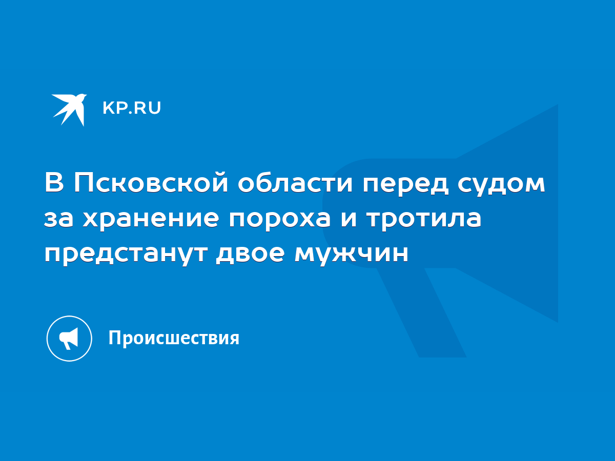 В Псковской области перед судом за хранение пороха и тротила предстанут  двое мужчин - KP.RU