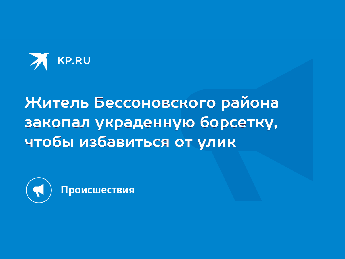 Житель Бессоновского района закопал украденную борсетку, чтобы избавиться  от улик - KP.RU