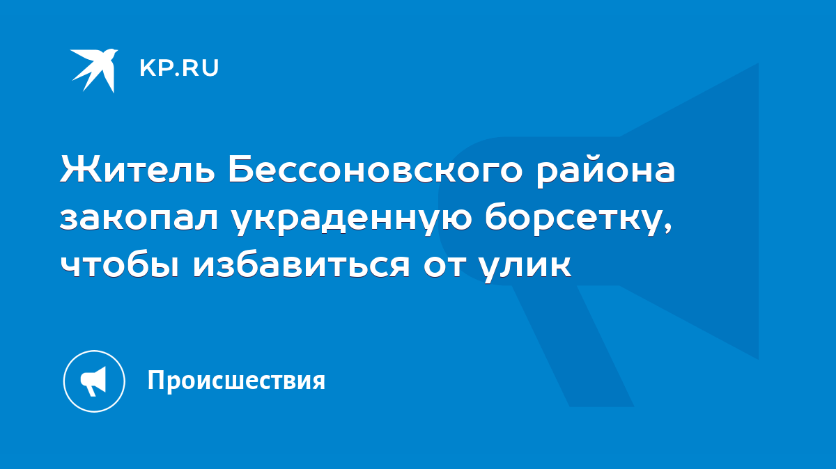 Житель Бессоновского района закопал украденную борсетку, чтобы избавиться  от улик - KP.RU