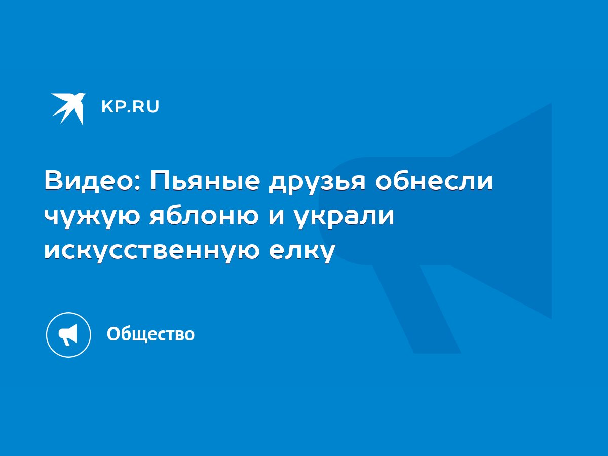 Видео: Пьяные друзья обнесли чужую яблоню и украли искусственную елку -  KP.RU