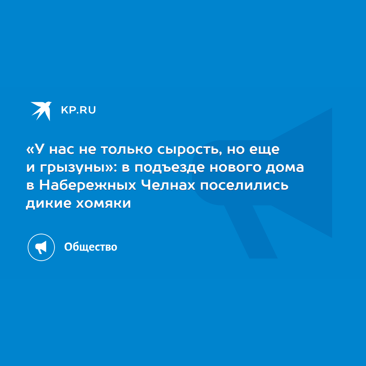 У нас не только сырость, но еще и грызуны»: в подъезде нового дома в  Набережных Челнах поселились дикие хомяки - KP.RU