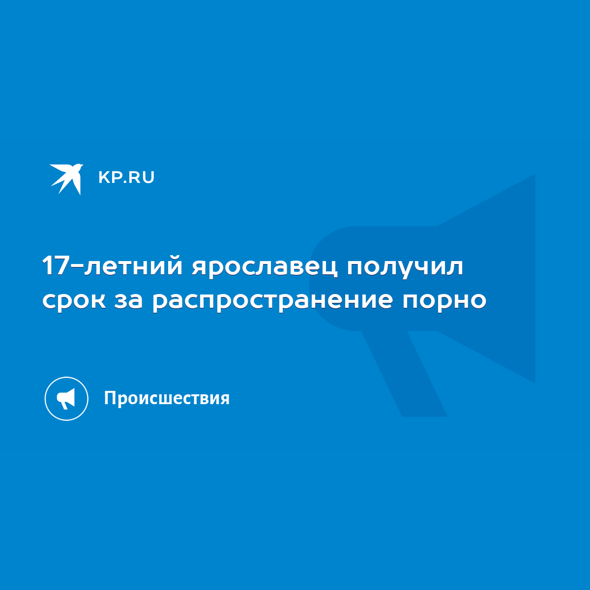 17-летний ярославец получил срок за распространение порно - KP.RU