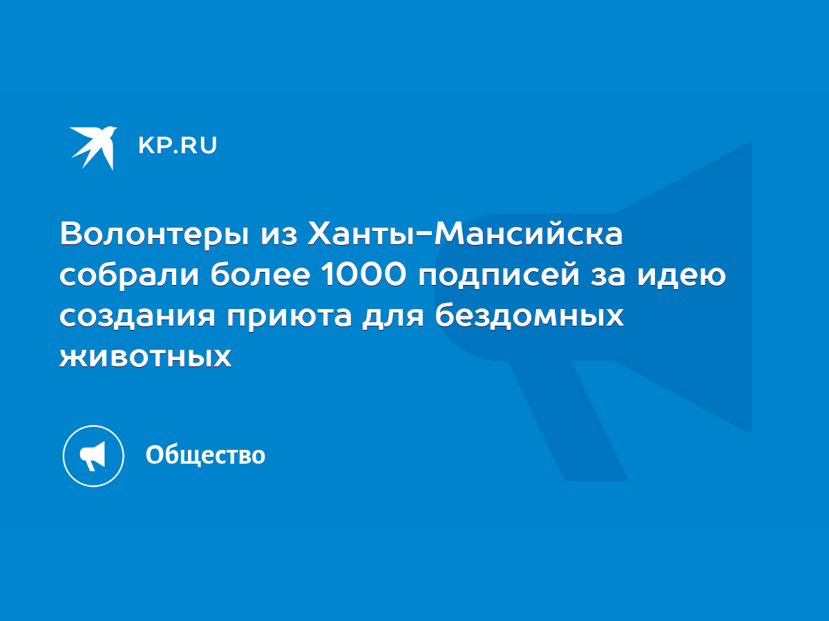 Волонтеры из Ханты-Мансийска собрали более 1000 подписей за идею создания  приюта для бездомных животных - KP.RU