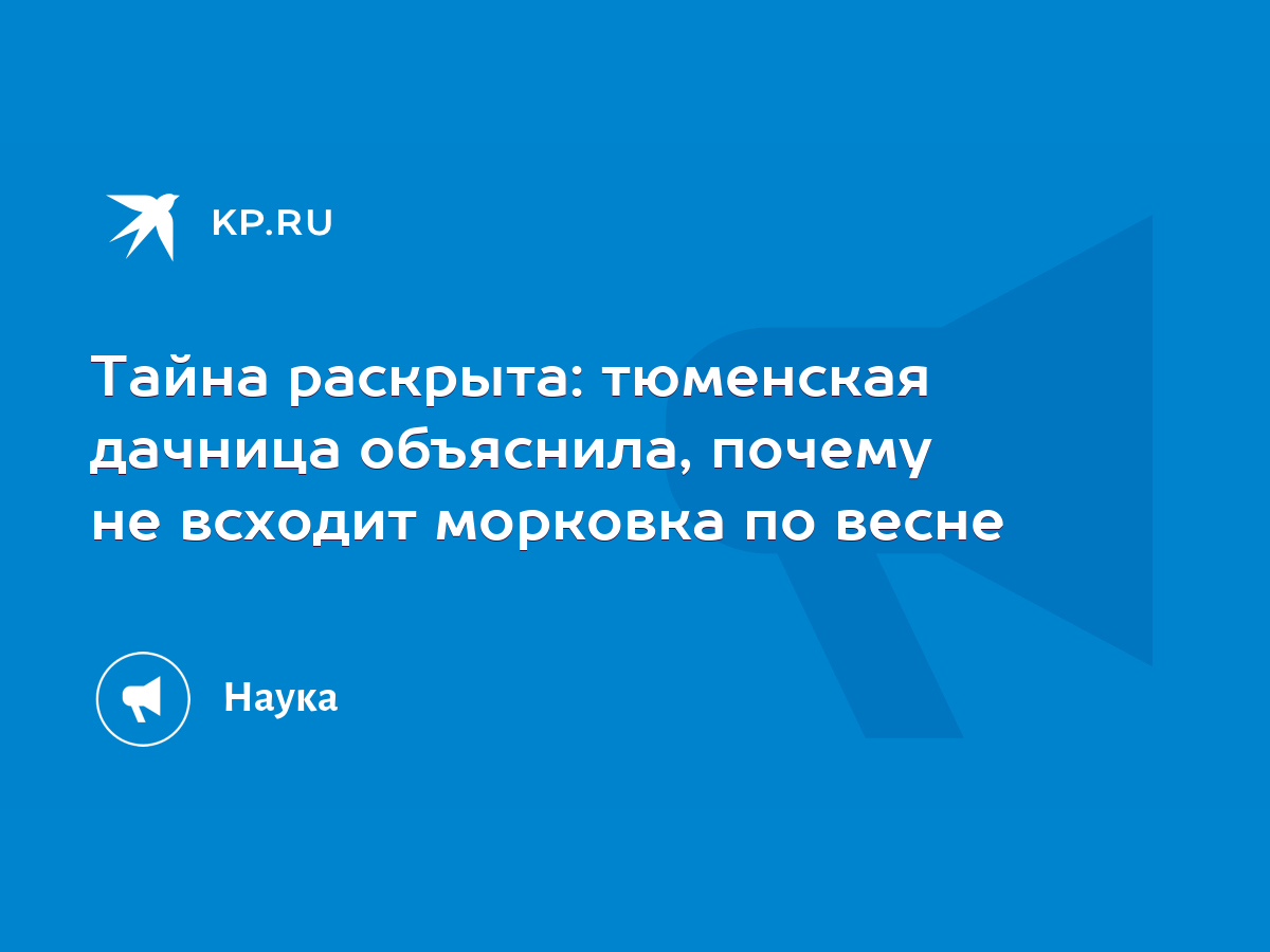 Тайна раскрыта: тюменская дачница объяснила, почему не всходит морковка по  весне - KP.RU