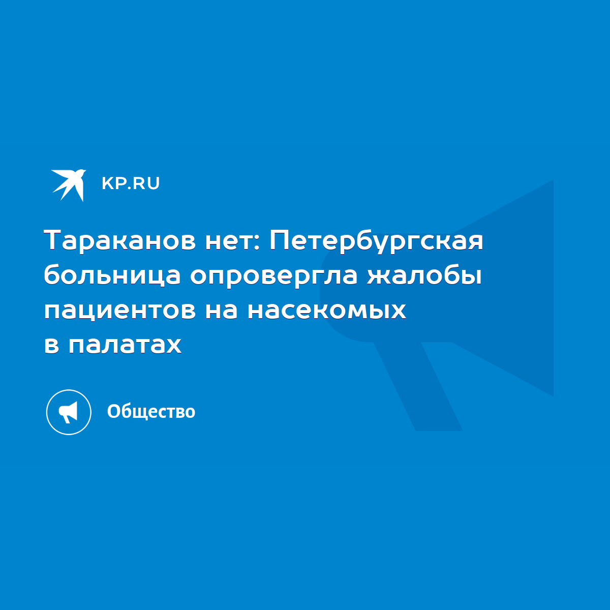 Тараканов нет: Петербургская больница опровергла жалобы пациентов на  насекомых в палатах - KP.RU