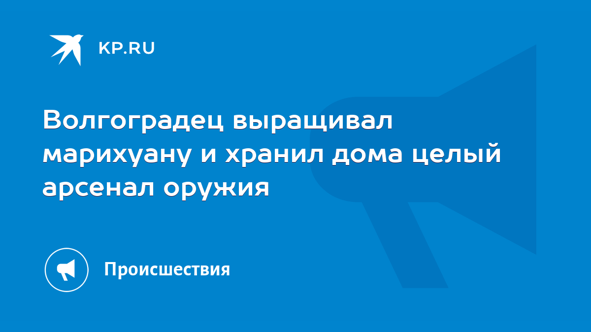 Волгоградец выращивал марихуану и хранил дома целый арсенал оружия - KP.RU