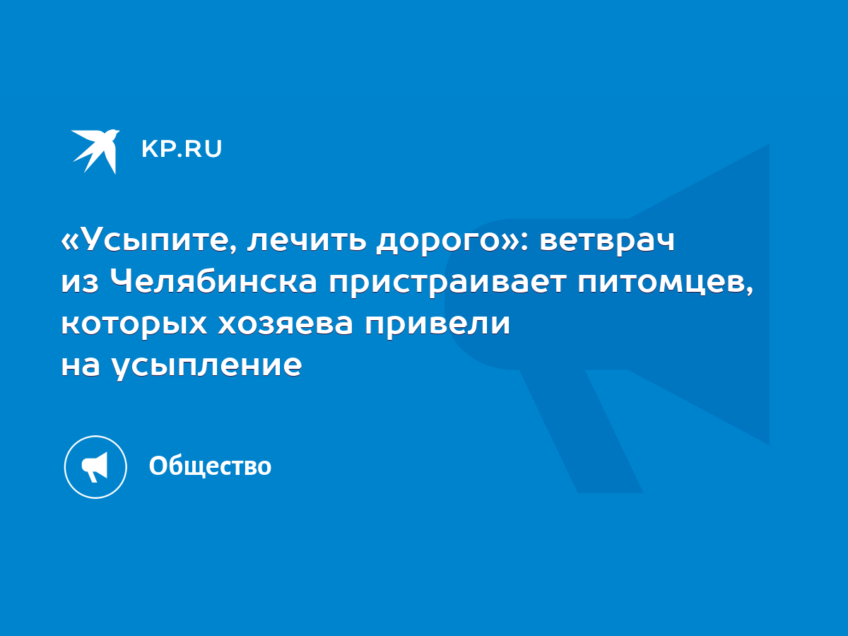 Усыпите, лечить дорого»: ветврач из Челябинска пристраивает питомцев,  которых хозяева привели на усыпление - KP.RU