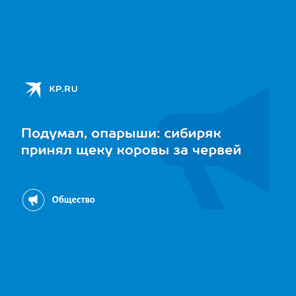 Подумал, опарыши: сибиряк принял щеку коровы за червей - KP.RU