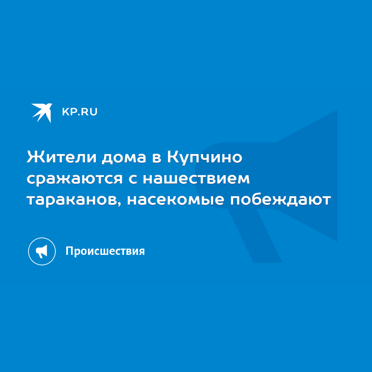 Жители дома в Купчино сражаются с нашествием тараканов, насекомые побеждают  - KP.RU