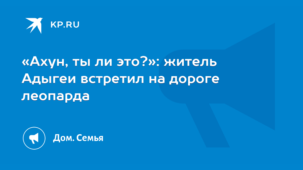 Ахун, ты ли это?»: житель Адыгеи встретил на дороге леопарда - KP.RU