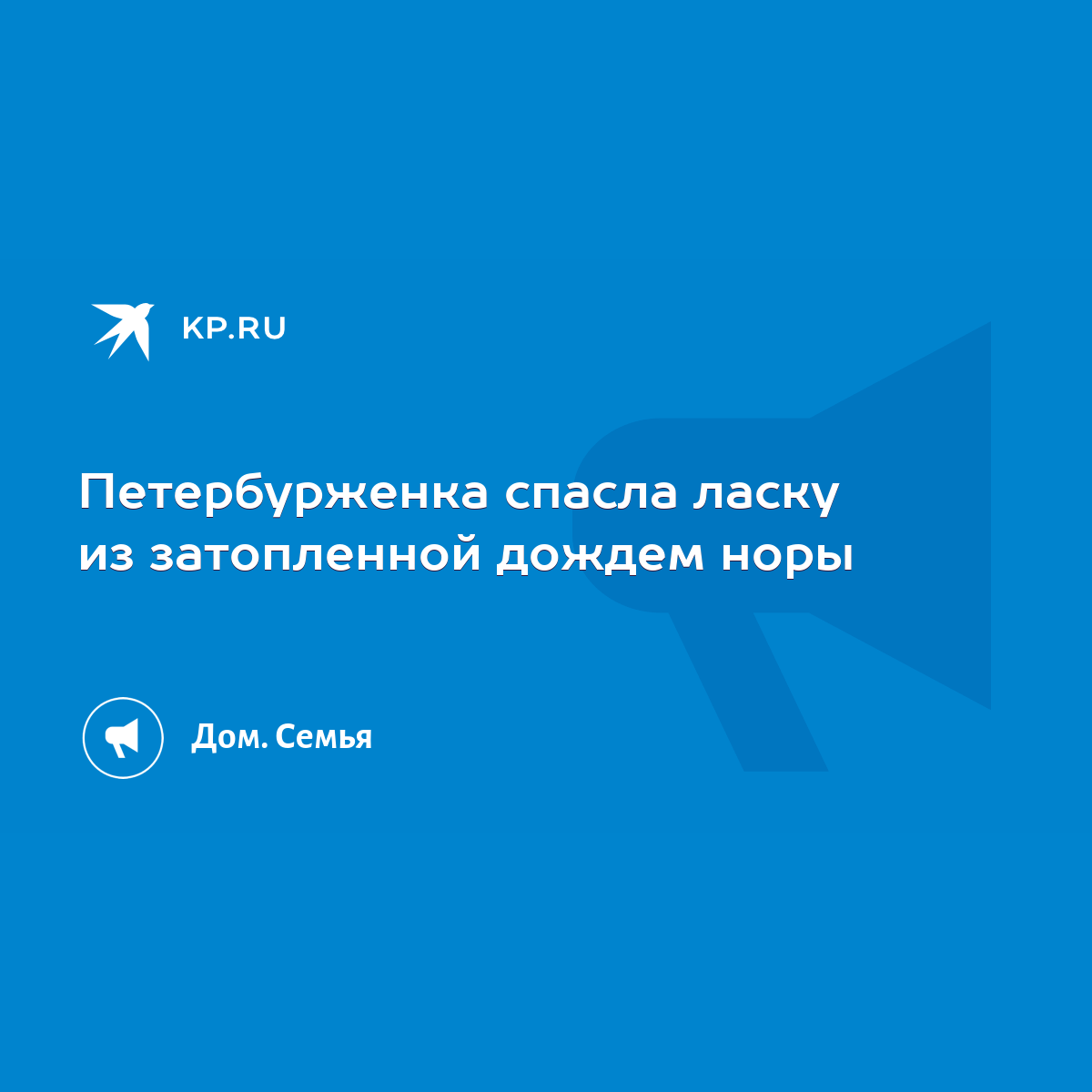 Петербурженка спасла ласку из затопленной дождем норы - KP.RU