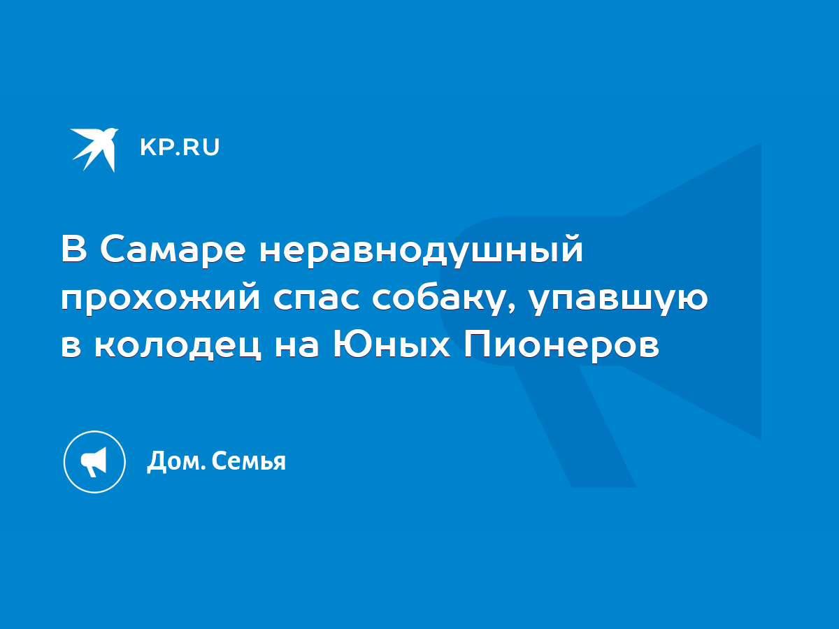 В Самаре неравнодушный прохожий спас собаку, упавшую в колодец на Юных  Пионеров - KP.RU