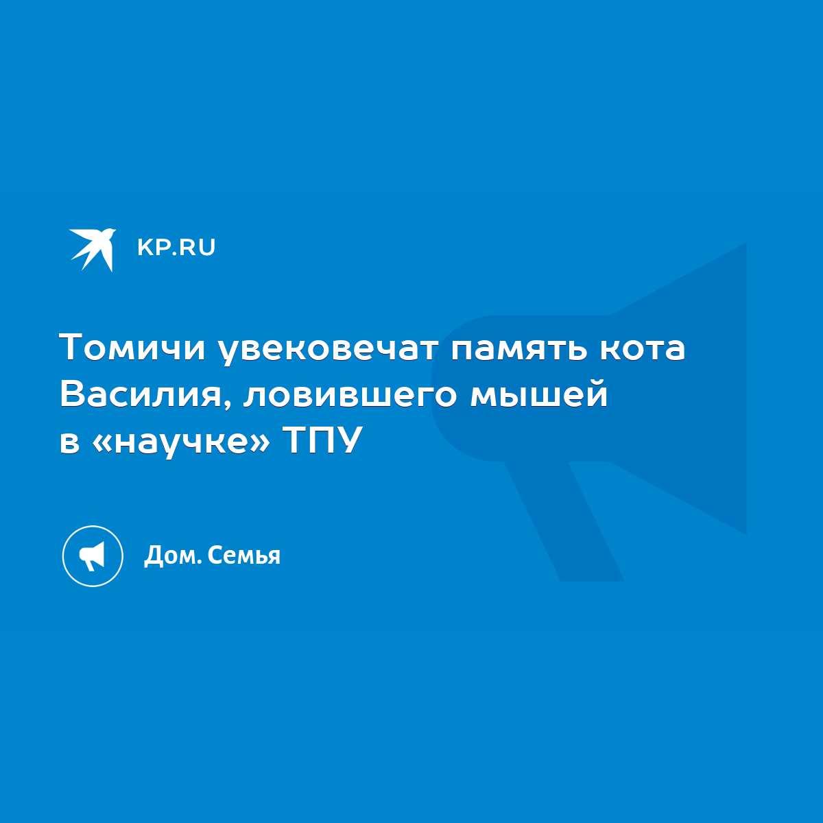 Томичи увековечат память кота Василия, ловившего мышей в «научке» ТПУ -  KP.RU