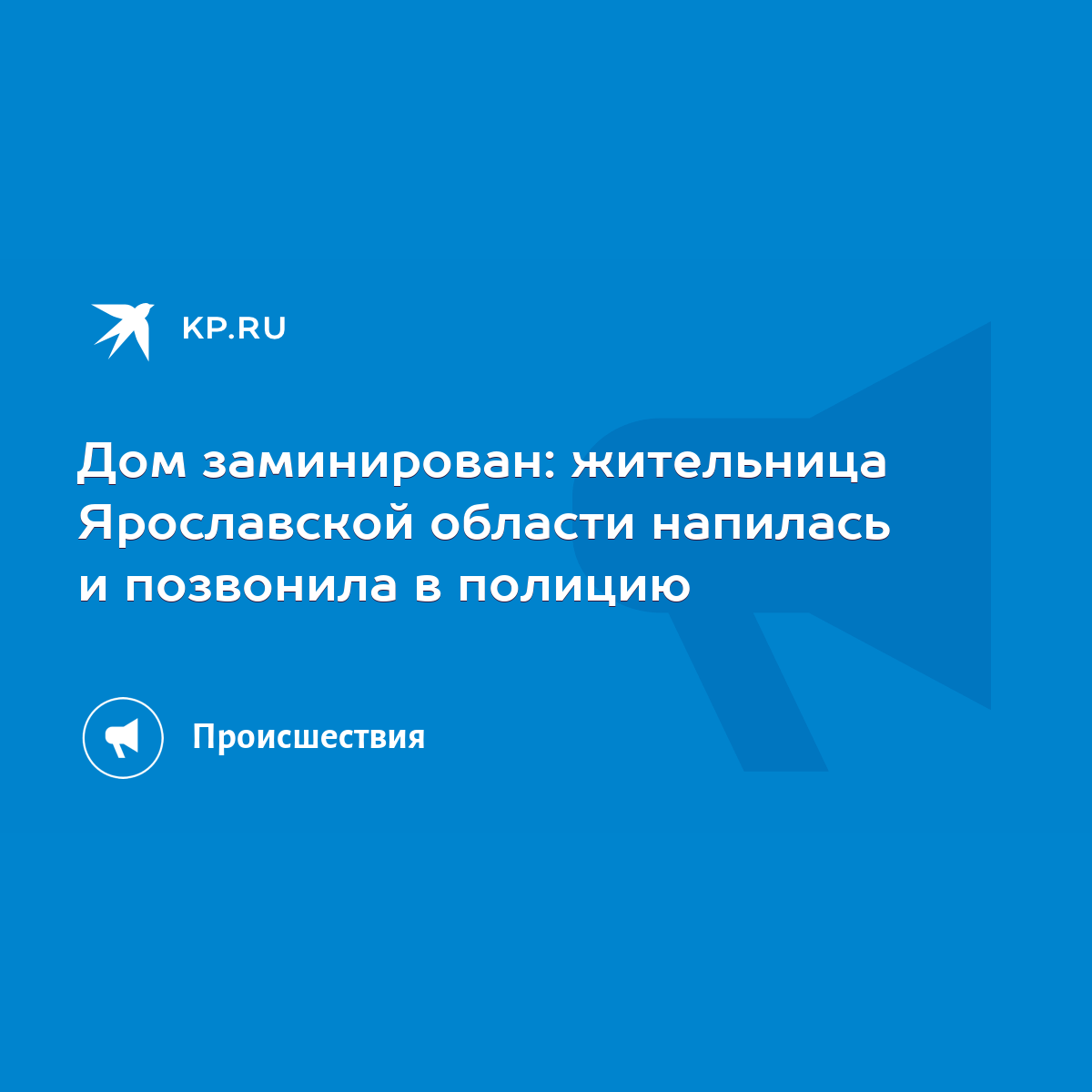 Дом заминирован: жительница Ярославской области напилась и позвонила в  полицию - KP.RU