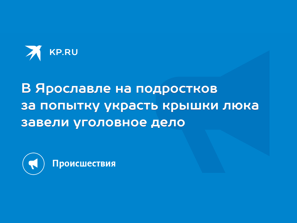 В Ярославле на подростков за попытку украсть крышки люка завели уголовное  дело - KP.RU