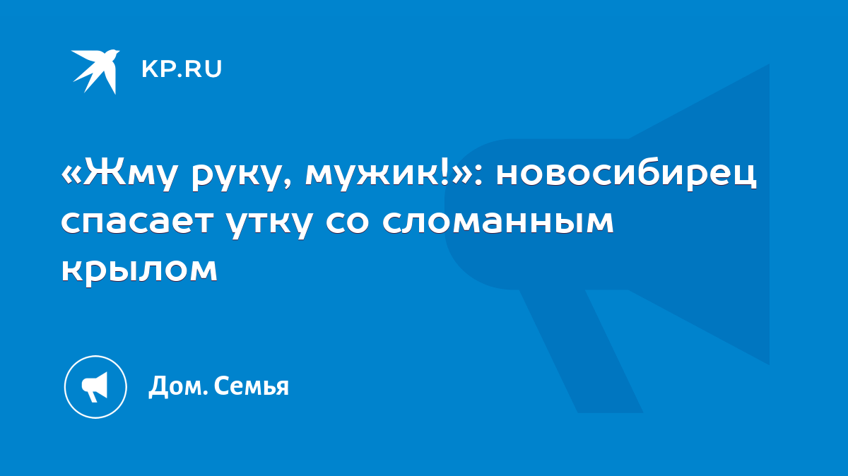 Жму руку, мужик!»: новосибирец спасает утку со сломанным крылом - KP.RU