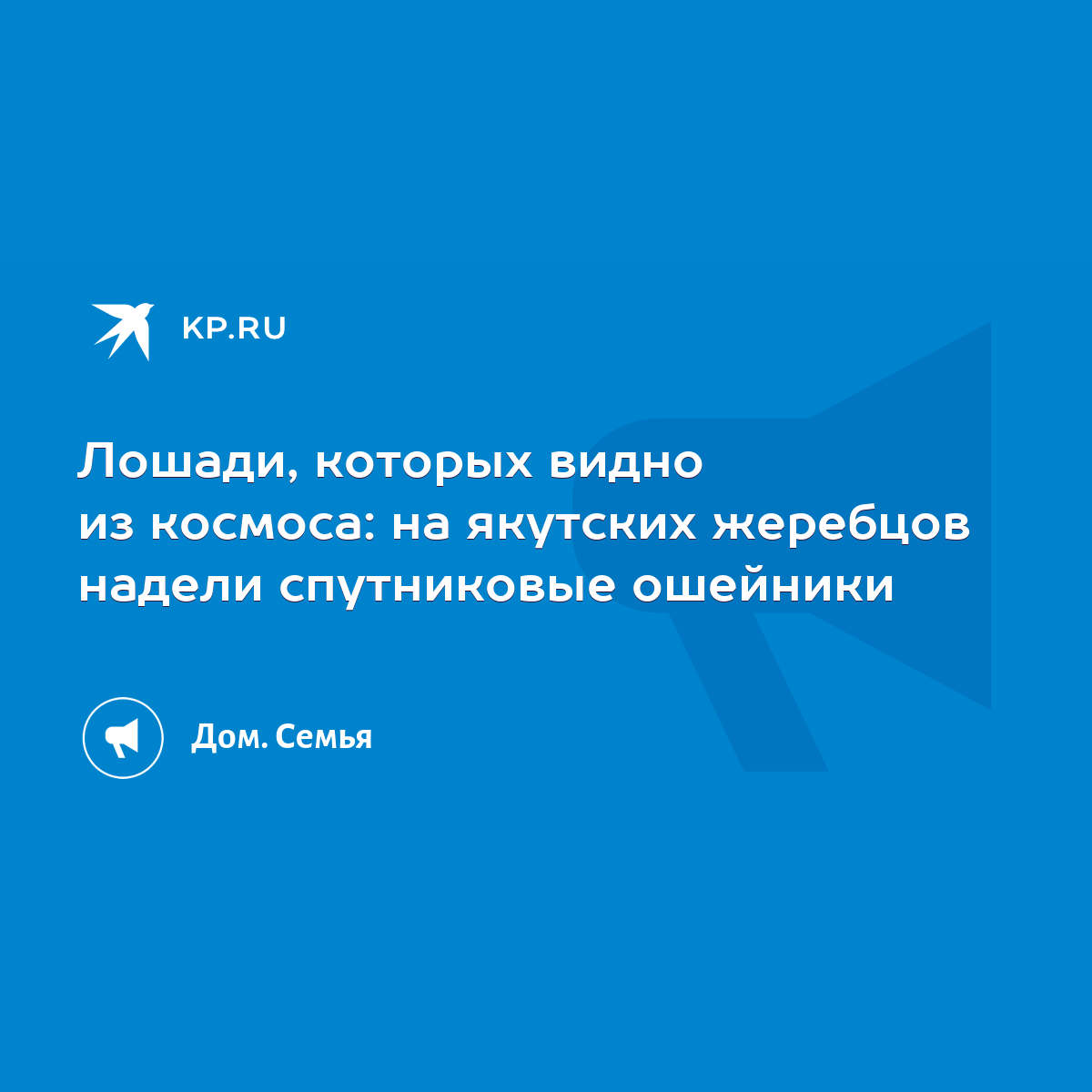 Лошади, которых видно из космоса: на якутских жеребцов надели спутниковые  ошейники - KP.RU