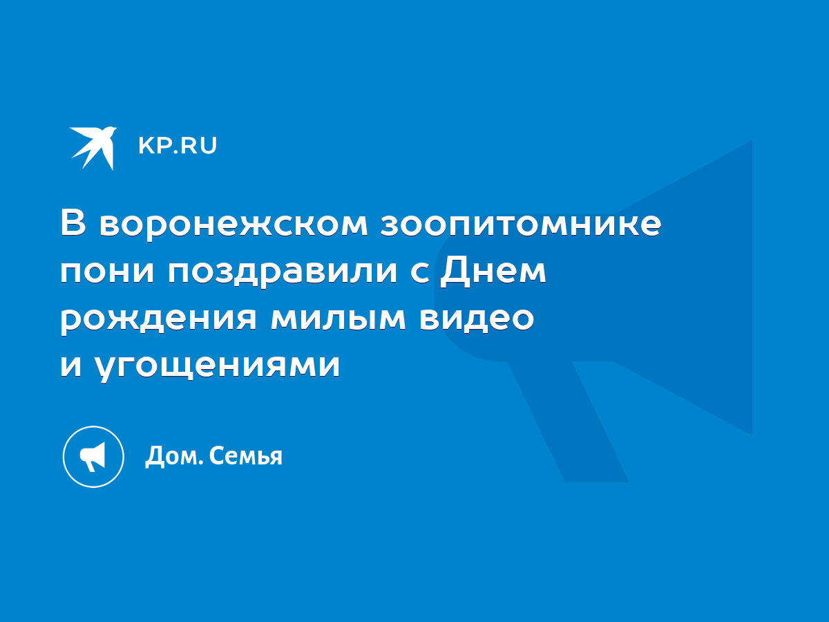 В воронежском зоопитомнике пони поздравили с Днем рождения милым видео и  угощениями - KP.RU