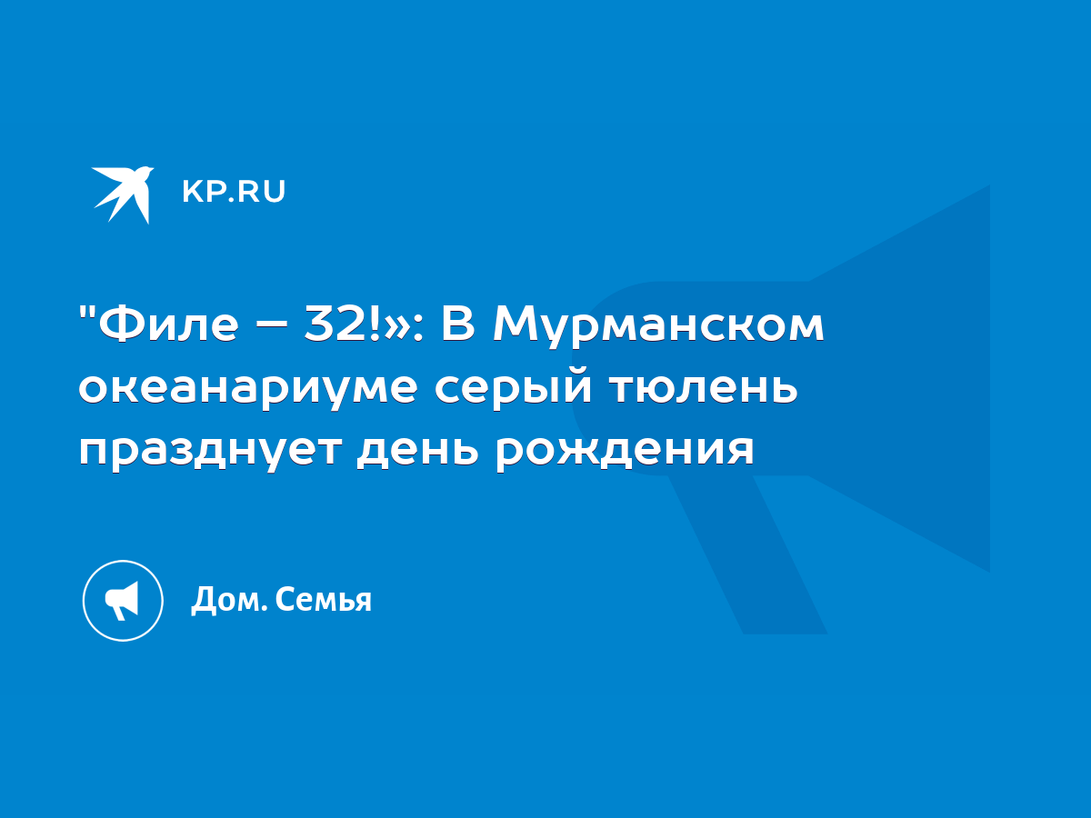 Филе – 32!»: В Мурманском океанариуме серый тюлень празднует день рождения  - KP.RU