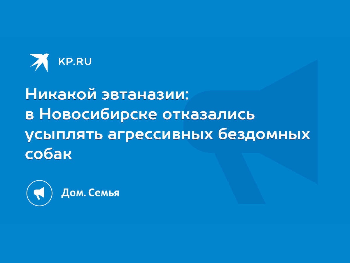 Никакой эвтаназии: в Новосибирске отказались усыплять агрессивных бездомных  собак - KP.RU