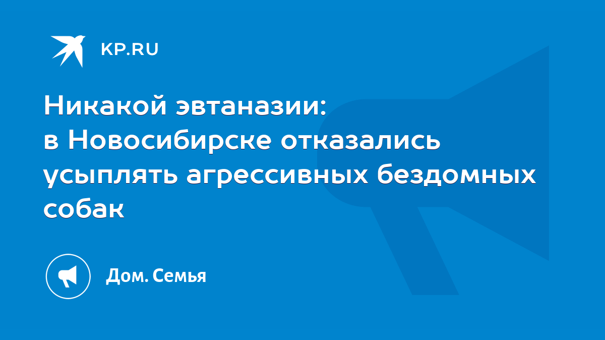 Никакой эвтаназии: в Новосибирске отказались усыплять агрессивных бездомных  собак - KP.RU