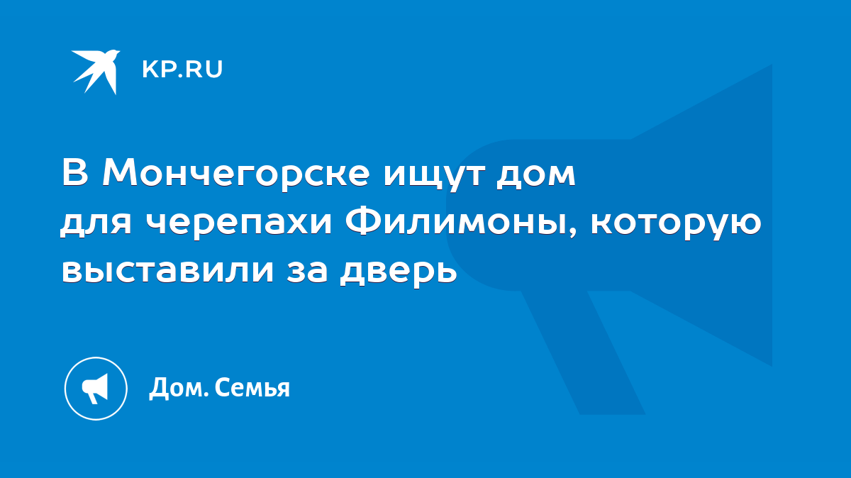 В Мончегорске ищут дом для черепахи Филимоны, которую выставили за дверь -  KP.RU