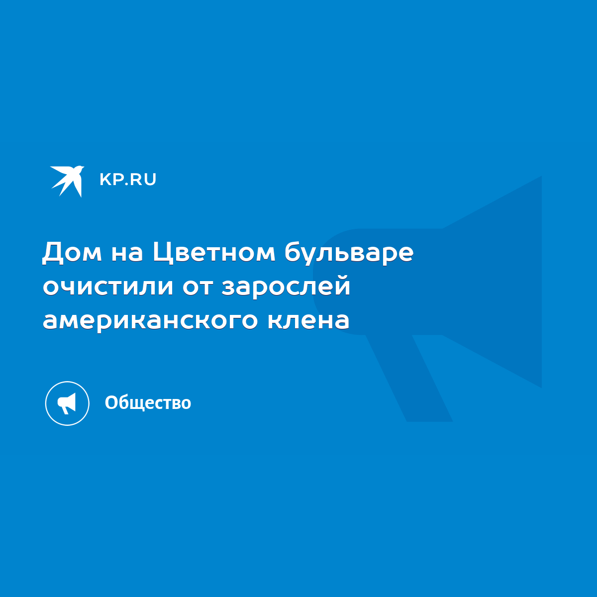 Дом на Цветном бульваре очистили от зарослей американского клена - KP.RU