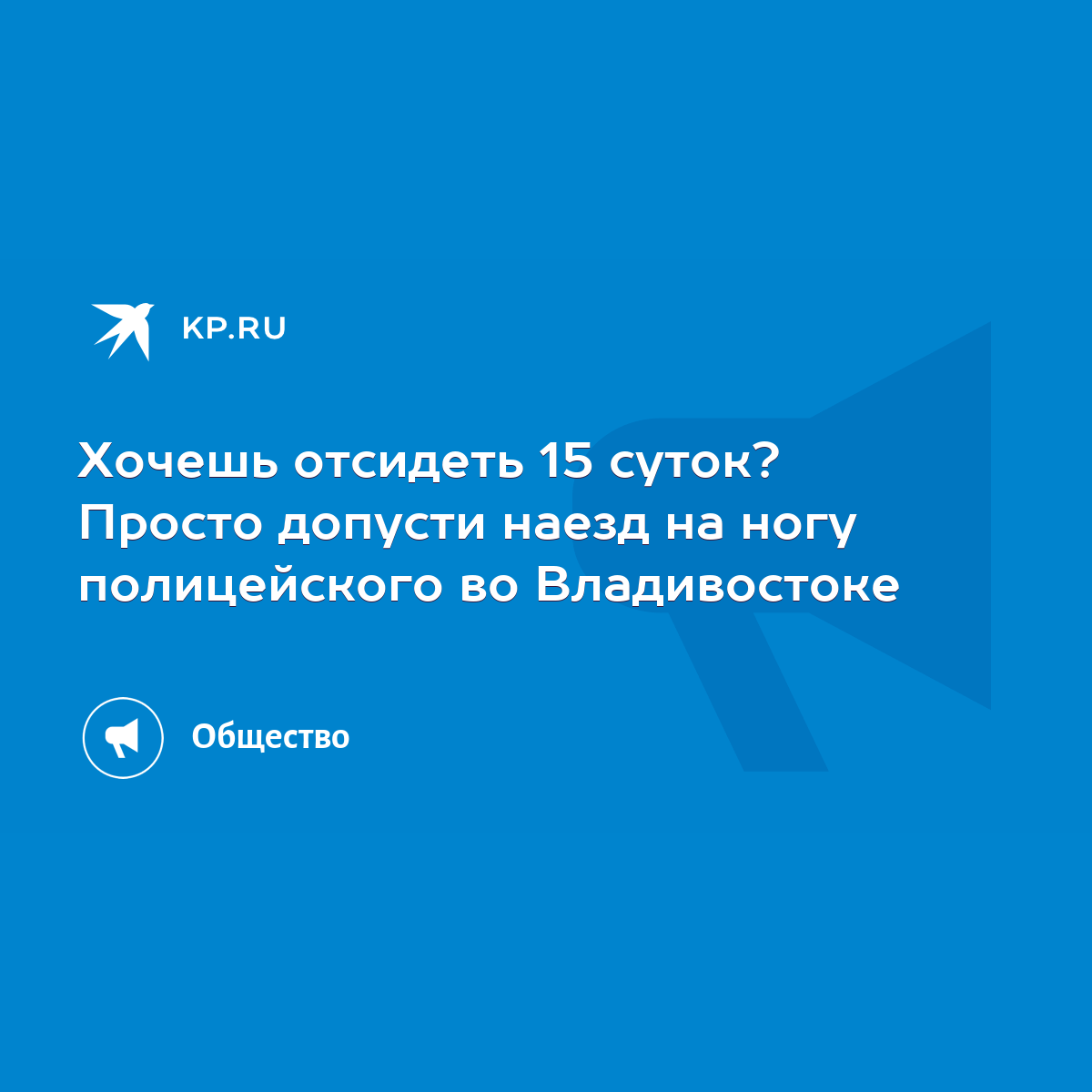 Хочешь отсидеть 15 суток? Просто допусти наезд на ногу полицейского во  Владивостоке - KP.RU