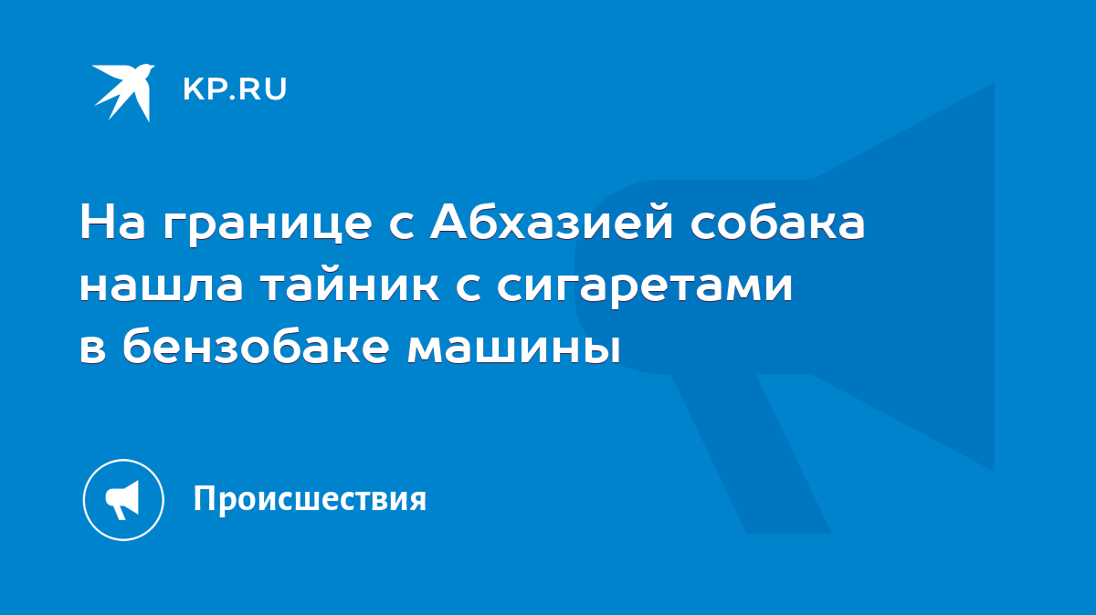 На границе с Абхазией собака нашла тайник с сигаретами в бензобаке машины -  KP.RU