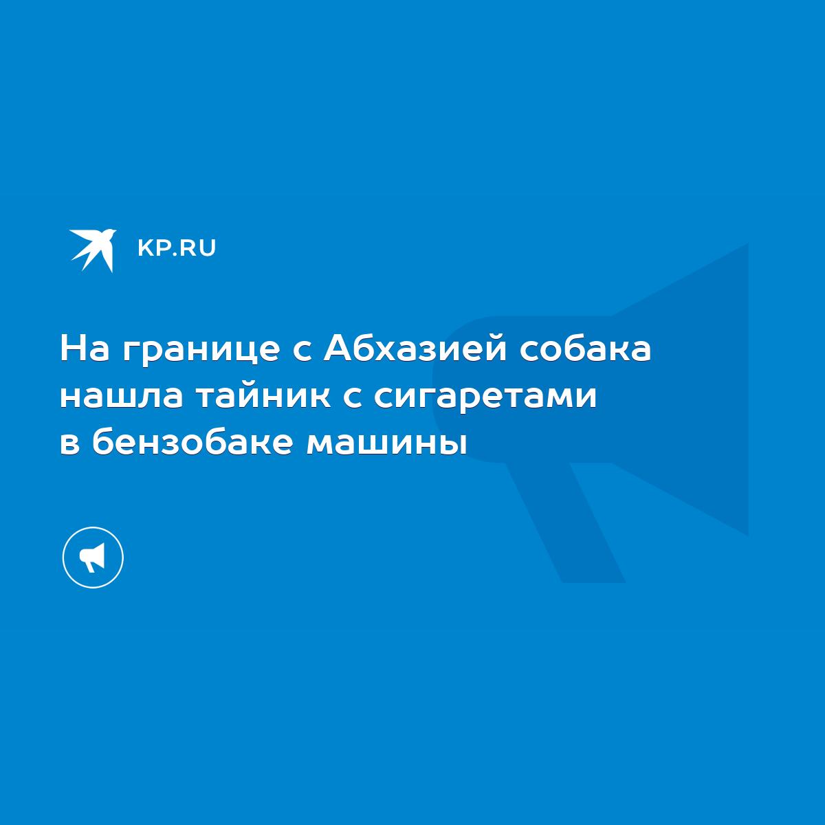 На границе с Абхазией собака нашла тайник с сигаретами в бензобаке машины -  KP.RU