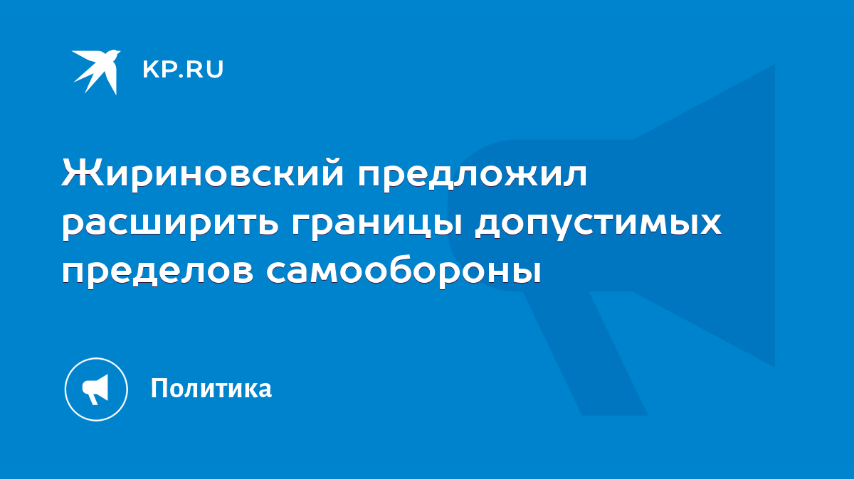 Жириновский предложил расширить границы допустимых пределов самообороны -  KP.RU