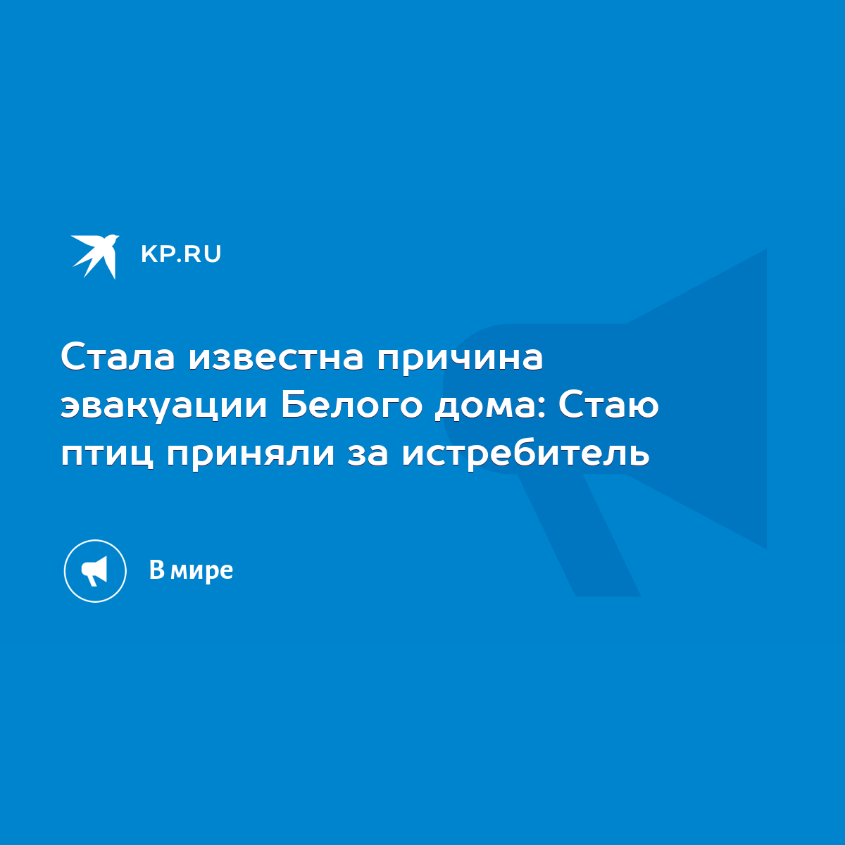 Стала известна причина эвакуации Белого дома: Стаю птиц приняли за  истребитель - KP.RU