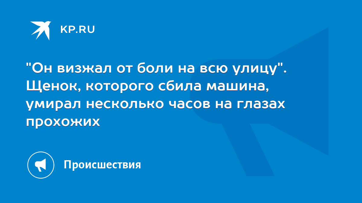 Он визжал от боли на всю улицу