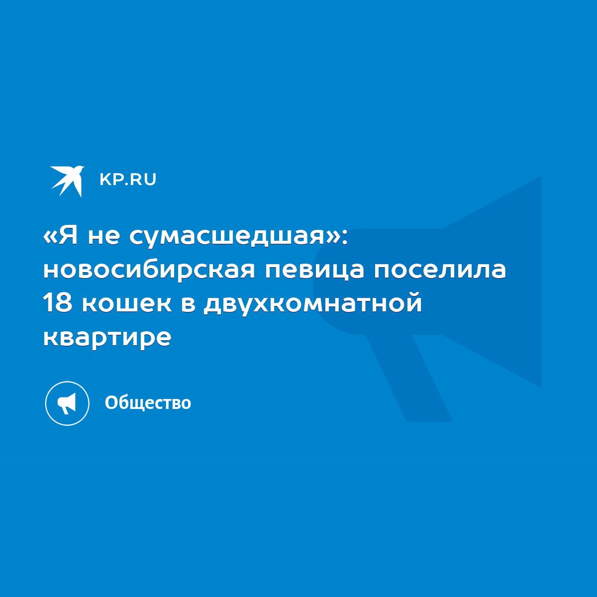 Я не сумасшедшая»: новосибирская певица поселила 18 кошек в двухкомнатной  квартире - KP.RU