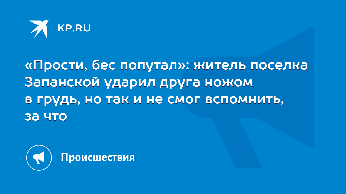 Прости, бес попутал»: житель поселка Запанской ударил друга ножом в грудь,  но так и не смог вспомнить, за что - KP.RU